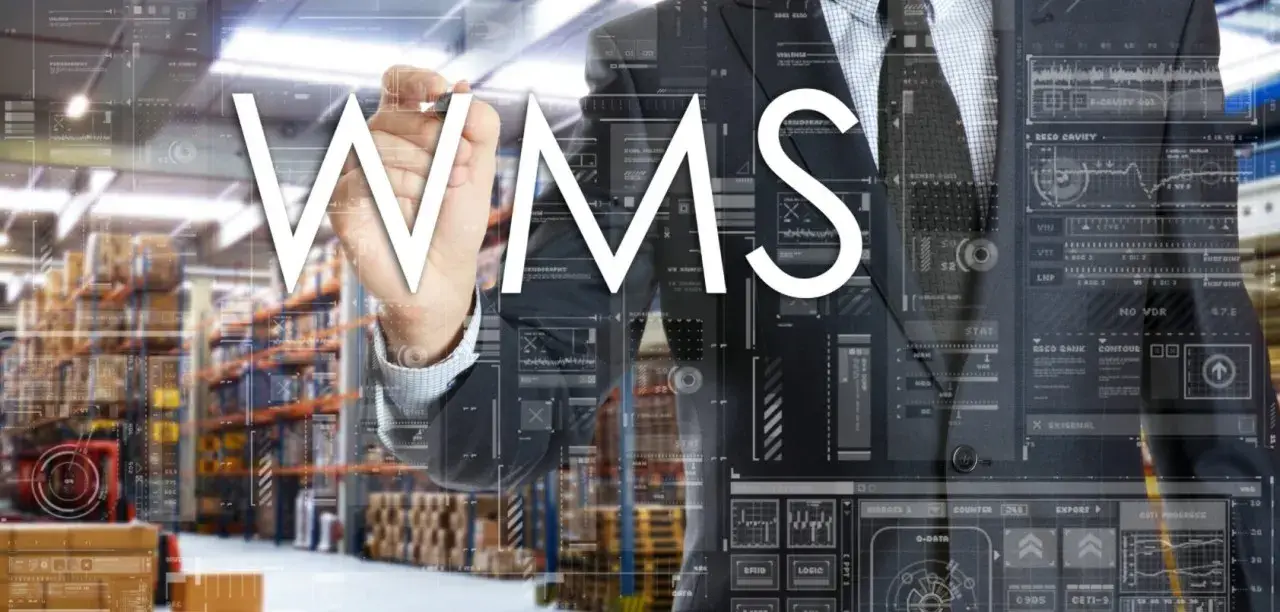 WMS para la Automatización de Almacenes para Ecommerce 