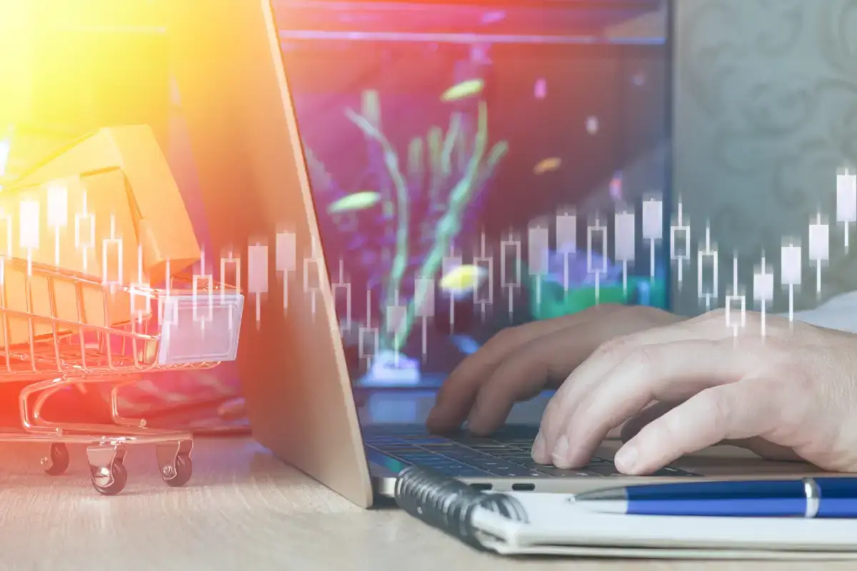 Intralogística para ecomerce